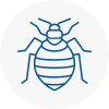 Bed Bug Extermination In Bradfield