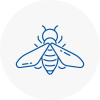 Bee Nest Removal Bradfield