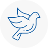 Bird Prevention Bradfield