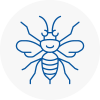 Bradfield Hornet Nest Removals