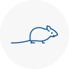 Mice Exterminators In Bradfield