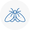 Moth Control Specialists In Bradfield
