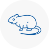 Rat Control Bradfield