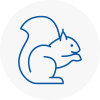 Bradfield Rodent Removals