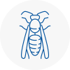 Bradfield Wasp Nest Removal